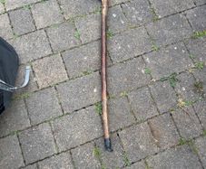 walking stick