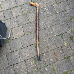 walking stick