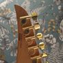 Peavey Rotor EXP - Schaller FR Image 8
