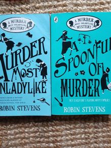 Murder mystery kids book