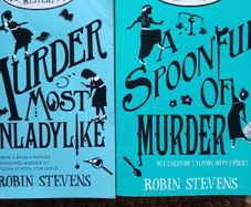 Murder mystery kids book