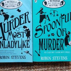 Murder mystery kids book