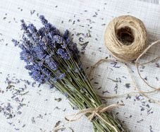 Dried Lavender bunch ... Dried flower bouquet / Handpicked / Superior Quality/ Lavender wedding / Bridesmaid bouquet