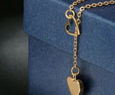 Long Necklace with Heart Charms