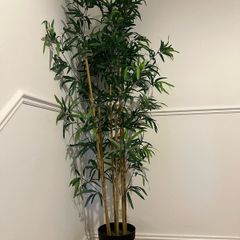 Fake Plant Bamboo tall Ikea