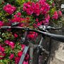 Carrera Crossfire 2 Hybrid Bike Image 4