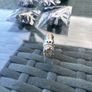 Auxito CanBus P21W PY21W H21W T15 W5W LED bulbs for BMW, VW, Mercedes, Toyota etc. Image 2