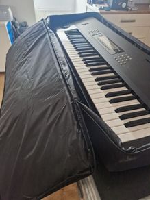 Korg M1 Battery Issue