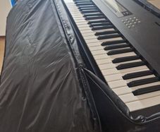 Korg M1 Battery Issue