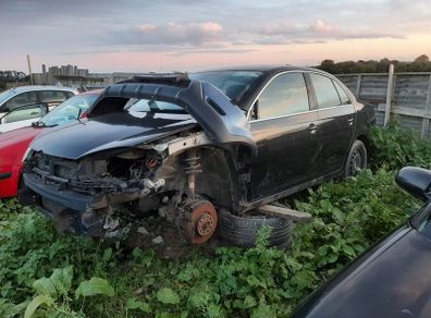 jetta for breaking