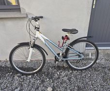 Ladies Raleigh Bicycle