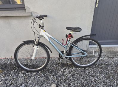 Ladies Raleigh Bicycle