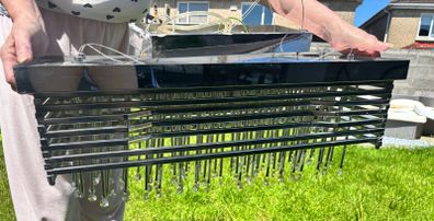 Two Chandeliers