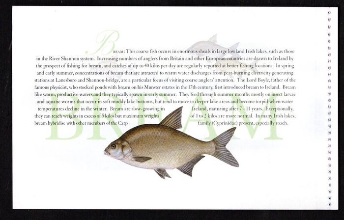 2001 Ireland Freshwater Fish Commemorative Stamp Booklet Mint Never Hinged (MNH). Photos of contents shown.