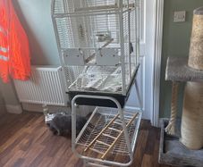 parrot cage