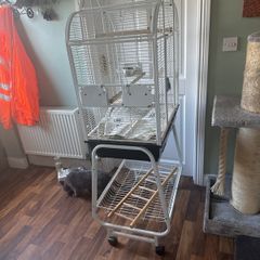 parrot cage