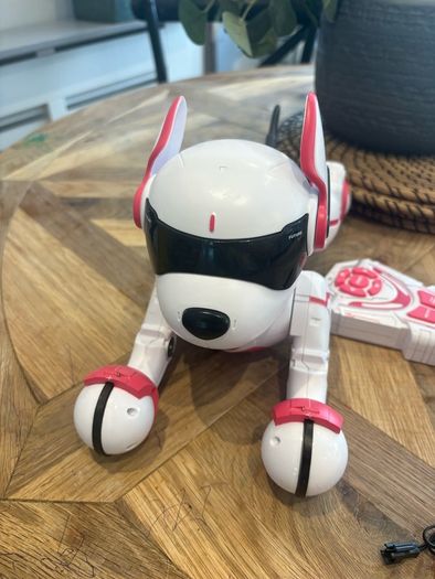 Zoey the Robo Dog