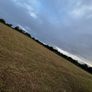 Silage bales Image 3