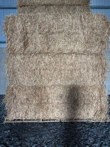 Straw