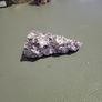 Lithium mica crystal cluster Image 4