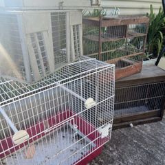 Bird cages
