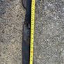 Lawnmower Blade Image 3
