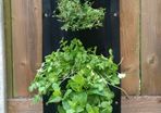 Vertical Wall Planter Clever Pot
