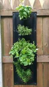 Vertical Wall Planter Clever Pot
