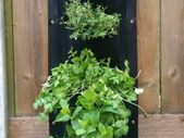 Vertical Wall Planter Clever Pot