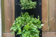 Vertical Wall Planter Clever Pot