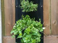 main image for ad Vertical Wall Planter Clever Pot