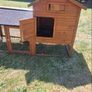 hen house/ rabbit hutch Image 2