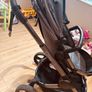 Buggy Image 2