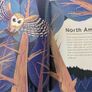 Lonely Planet Spooky Stories of the World hardback Image 3