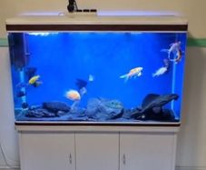 fish tank