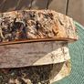 Birch Wood Slices Cookies Image 3