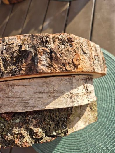 Birch Wood Slices Cookies