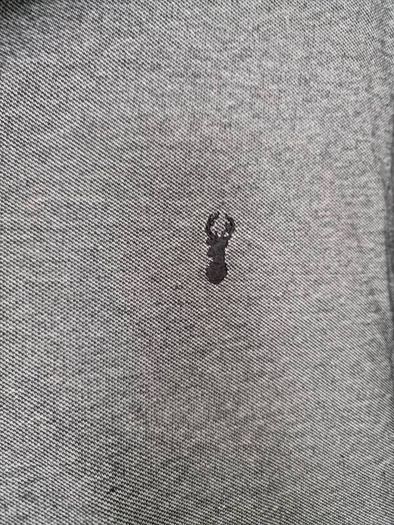 Next long sleeve polo shirt