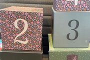 Anna &amp; Clara's Stacking Blocks