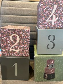 Anna & Clara's Stacking Blocks