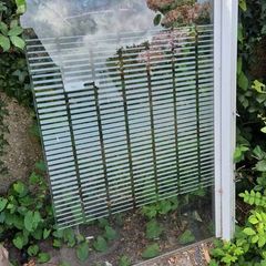 Bath/shower door