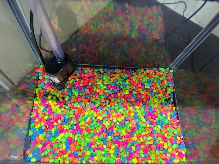 fish tank