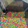 fish tank Image 3