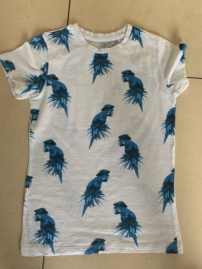 Next/River Island Boys T-shirts