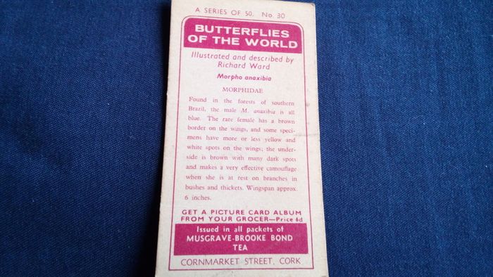 Butterflies of The World. Irish Series.