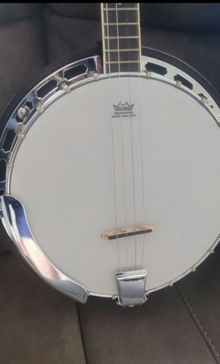 richwood banjo