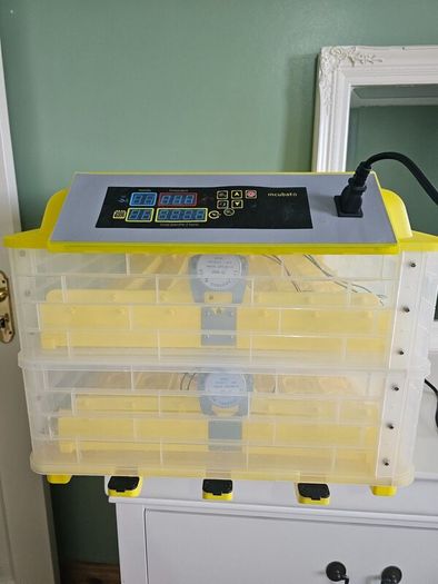 Egg Incubator