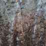 lovely sparkly dress from NEXT brand new Image 4