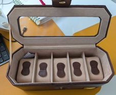 Gordays 5 Watch Case