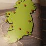 Ireland's High Places/ From the Mountains to the Sea/ Rob Beighton2008 Image 7